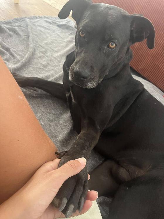 Un chien noir blotti contre sa personne, la patte dans la main