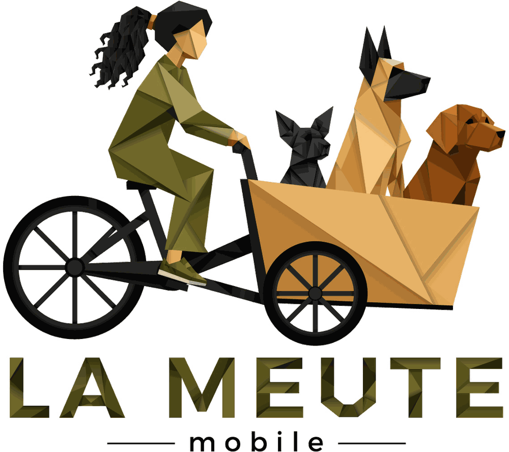 La Meute Mobile&nbsp;: illustration du triporteur avec trois chiens à bord
